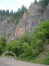 Section M / Vikings
