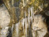 Skull Ice