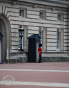 Buckingham Palace / michaeljmcgee.com