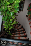La Maison d'Aurette / michaeljmcgee.com