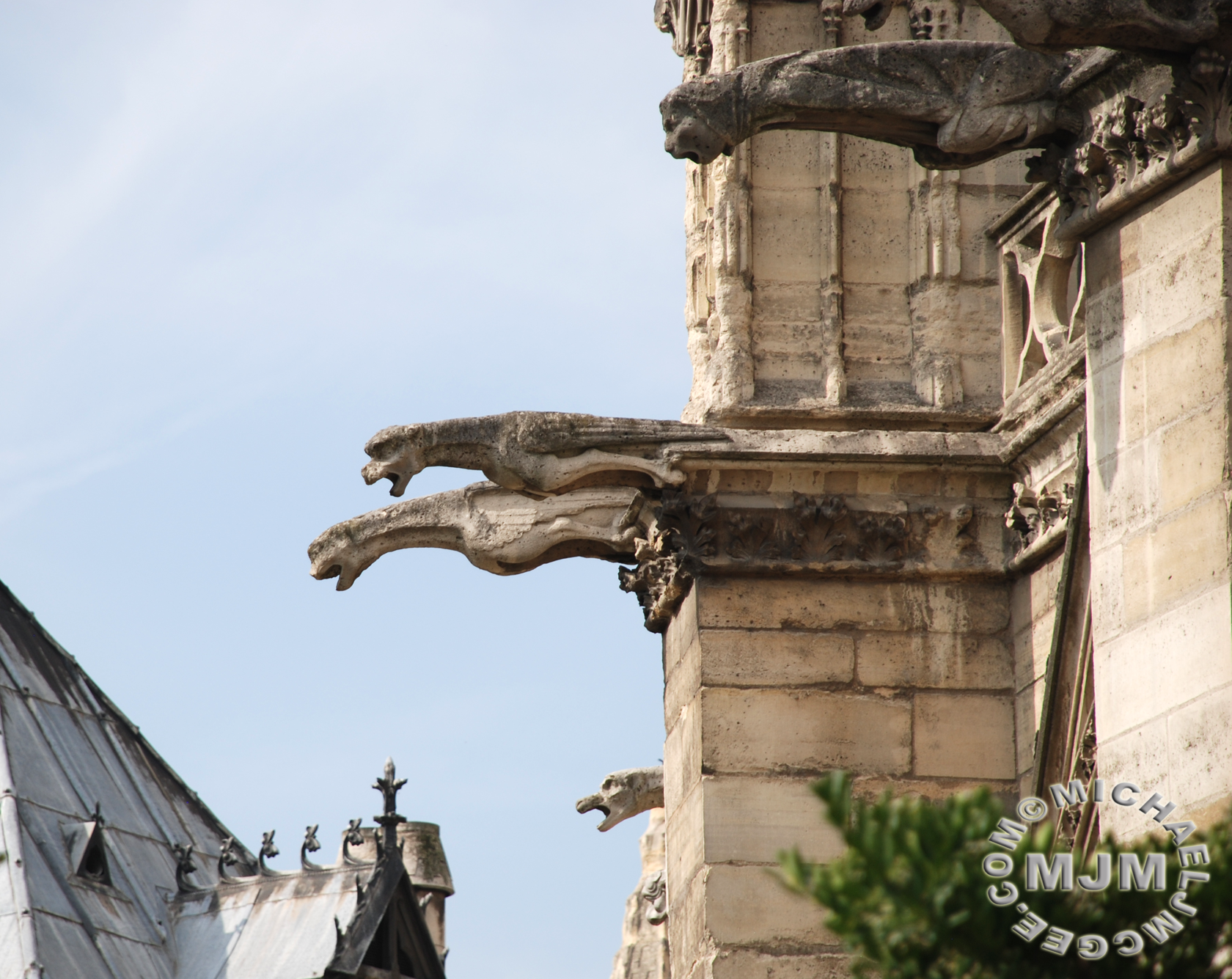 Cathedral Notre Dame / michaeljmcgee.com