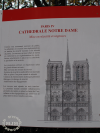 Cathedral Notre Dame / michaeljmcgee.com