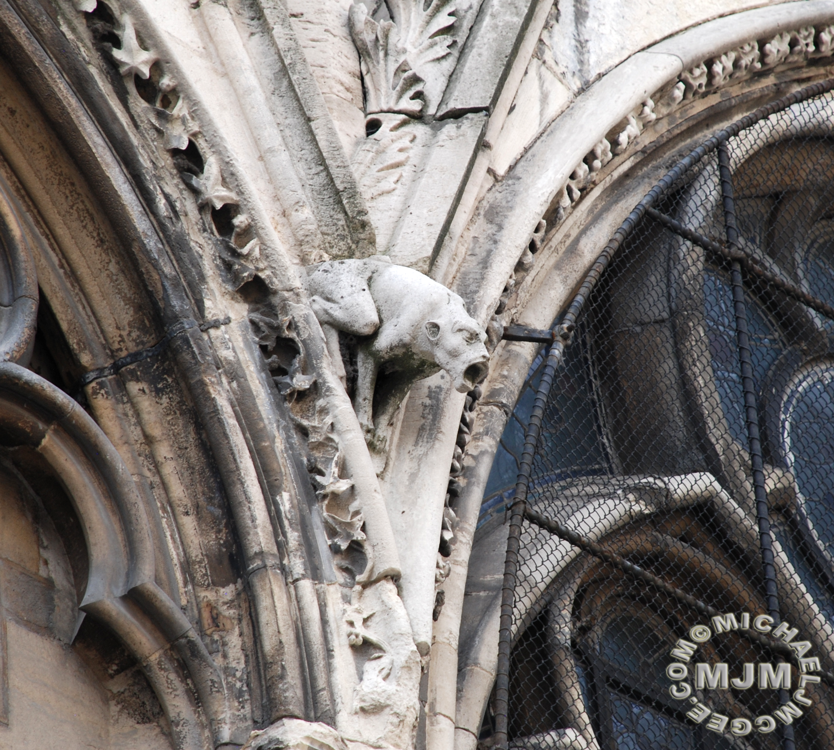 Cathedral Notre Dame / michaeljmcgee.com