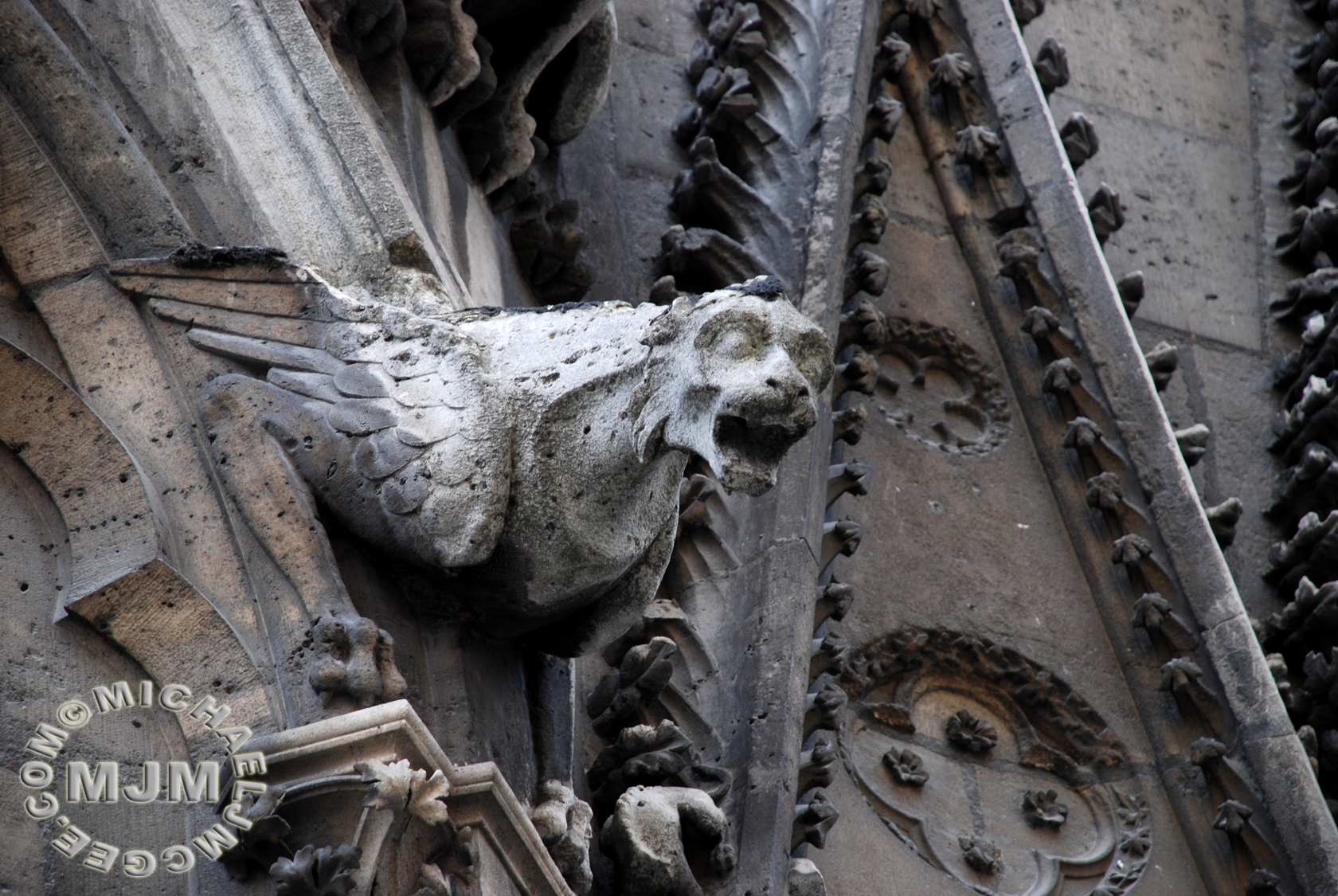 Cathedral Notre Dame / michaeljmcgee.com
