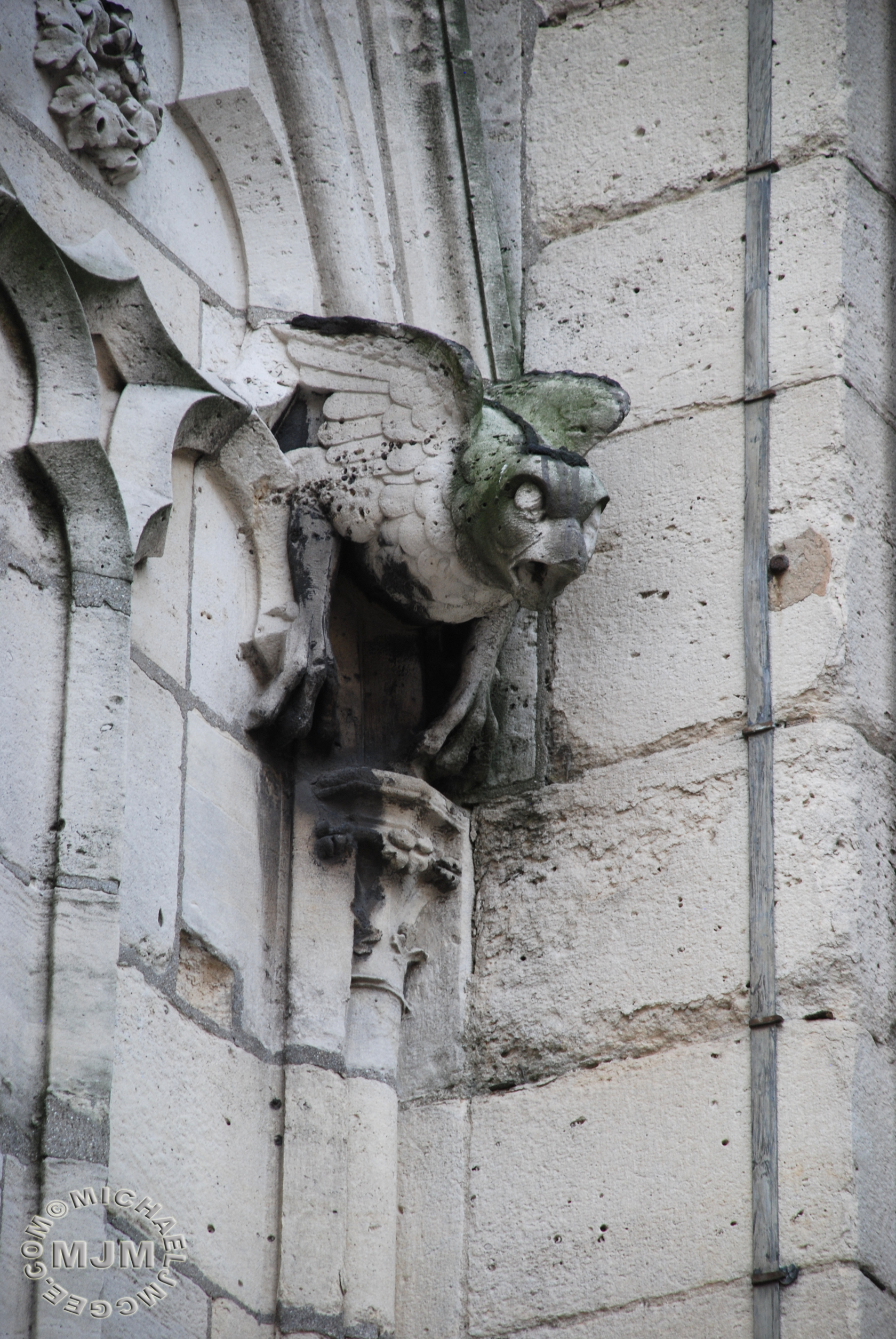 Cathedral Notre Dame / michaeljmcgee.com