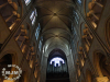 Cathedrale Notre Dame / michaeljmcgee.com