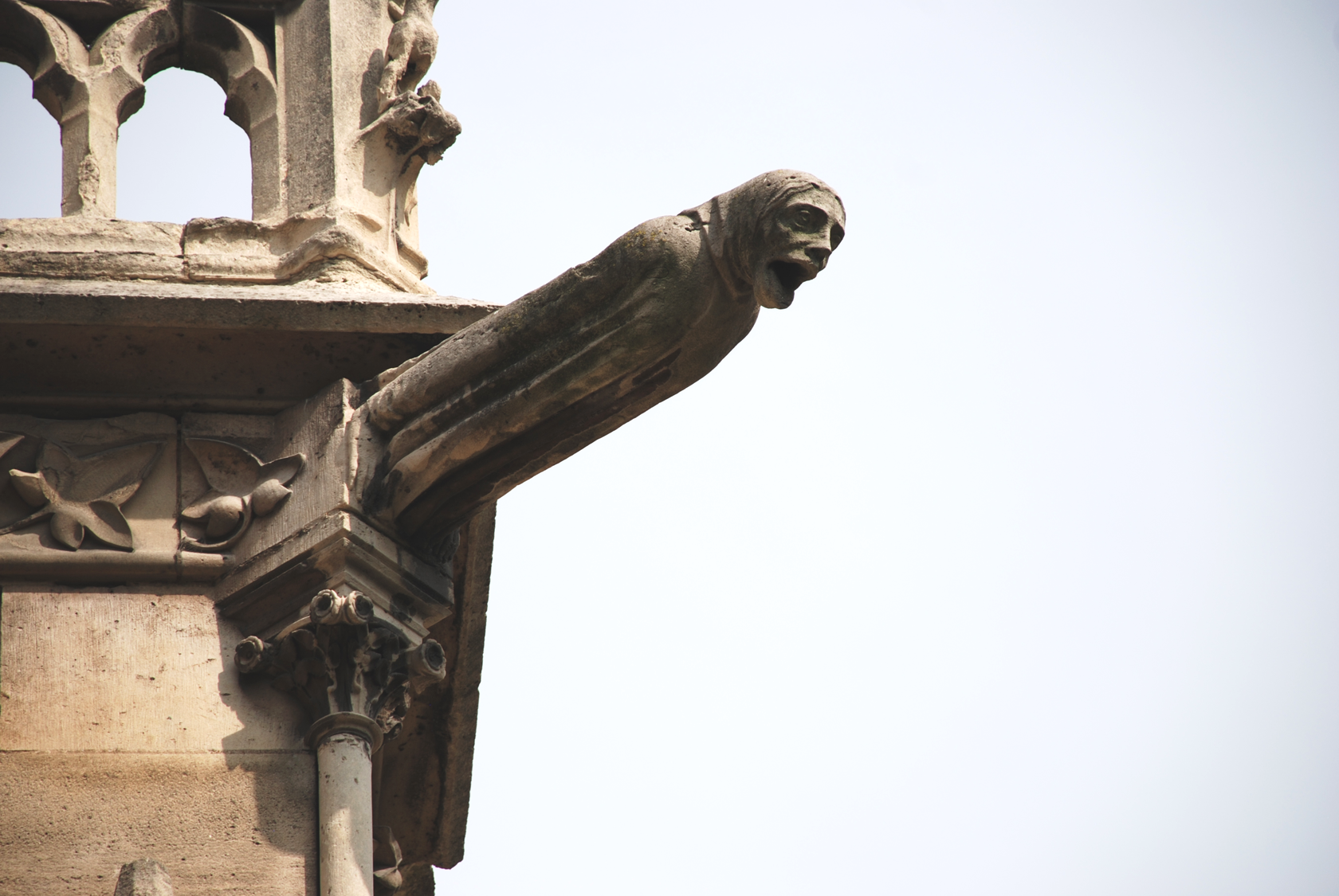Cathedrale Notre Dame / michaeljmcgee.com