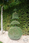 Versailles / michaeljmcgee.com