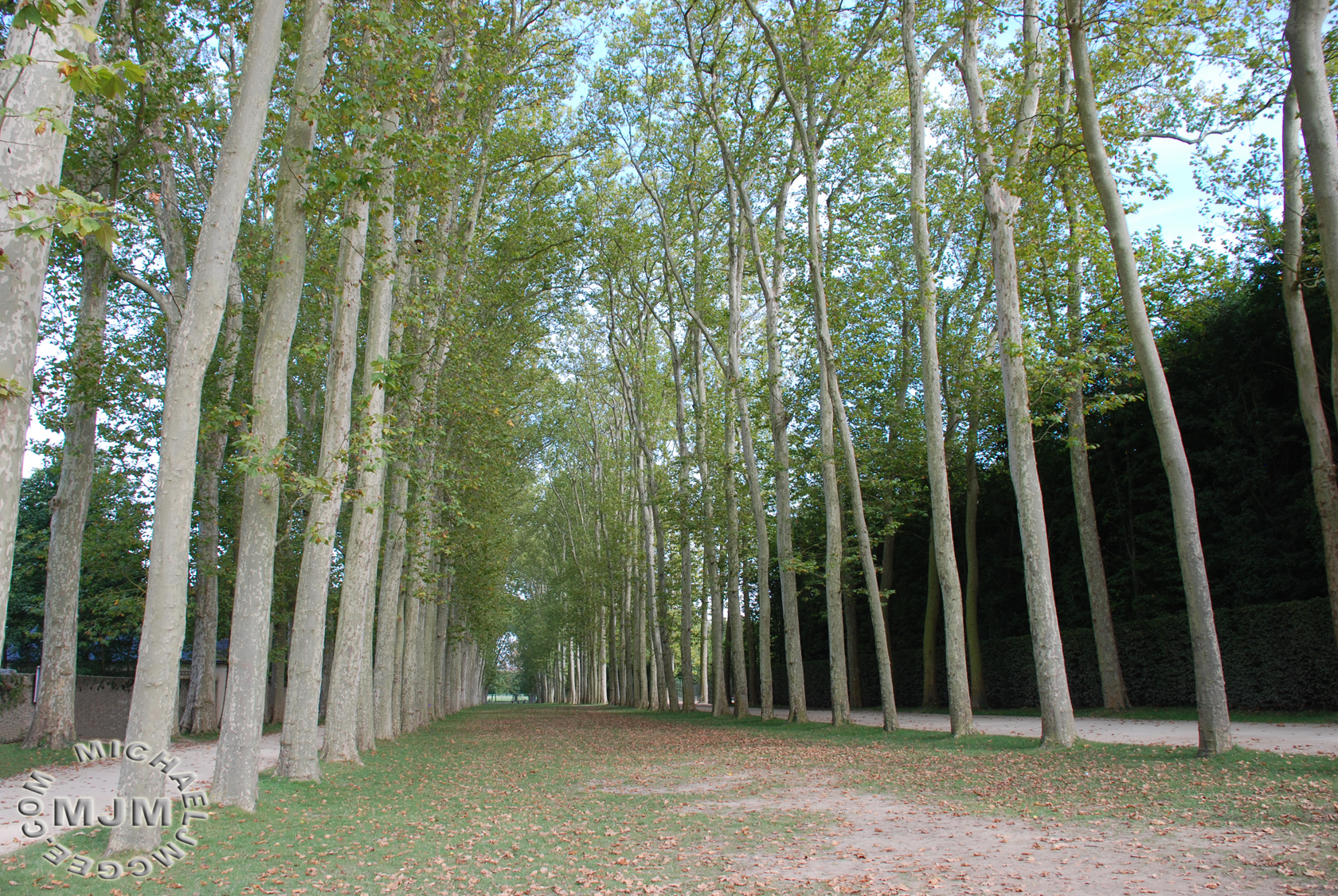 Versailles / michaeljmcgee.com