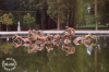 Versailles / michaeljmcgee.com