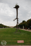 Versailles / michaeljmcgee.com
