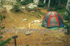 We camped out at Holly Lake
