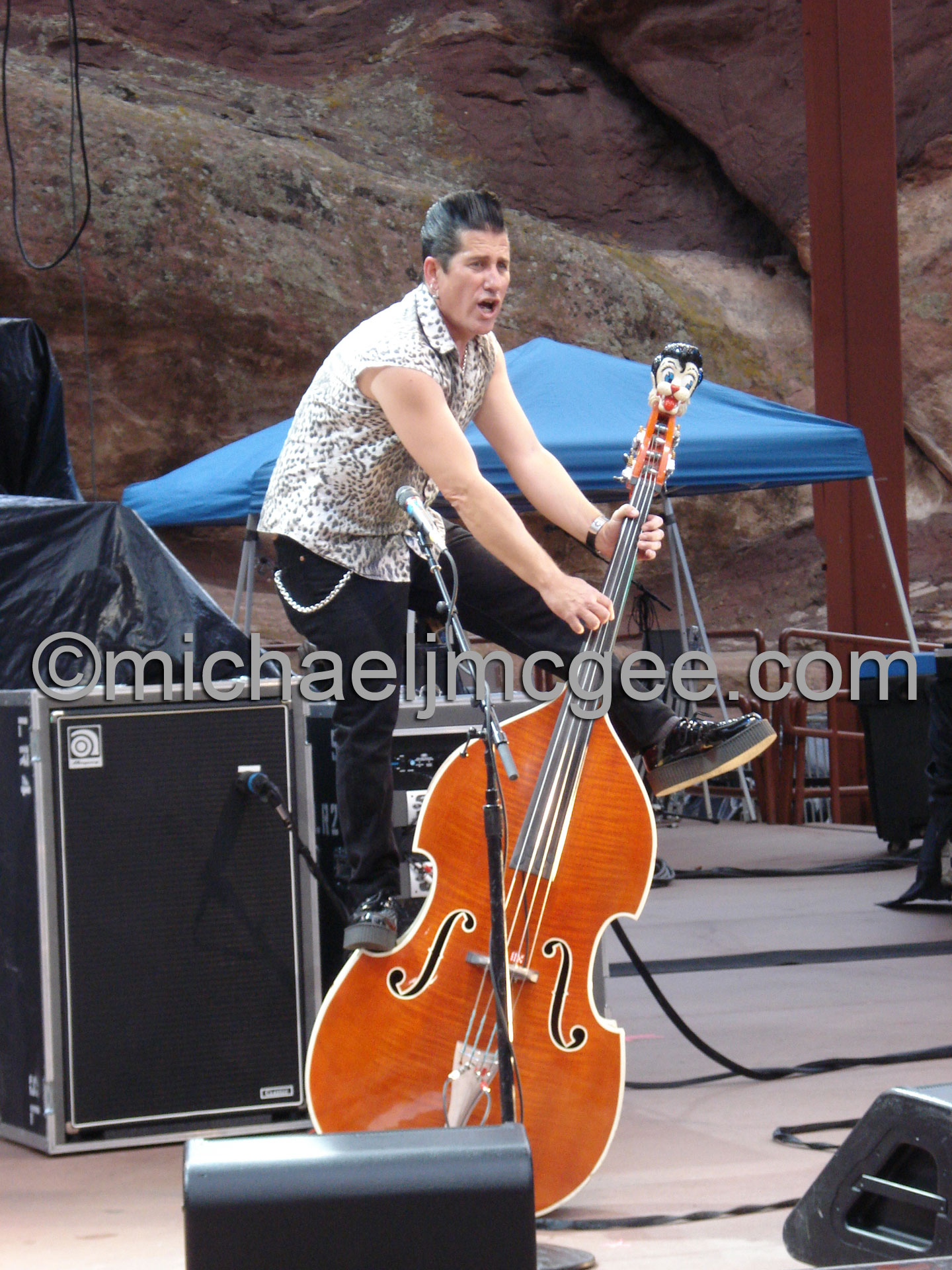 Lee Rocker / michaeljmcgee.com