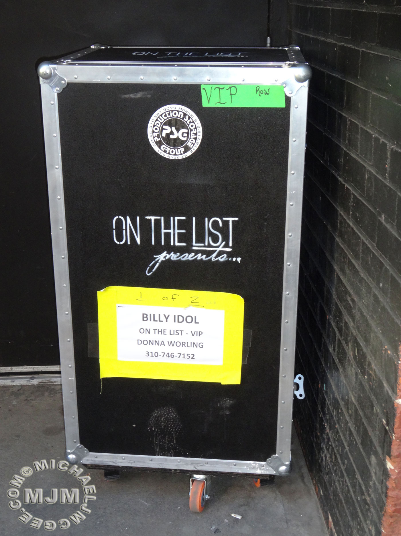 Billy Idol / michaeljmcgee.com