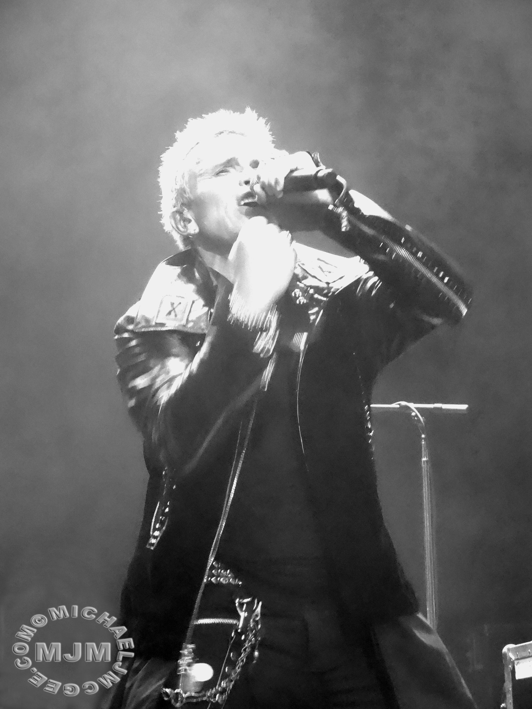 Billy Idol / michaeljmcgee.com