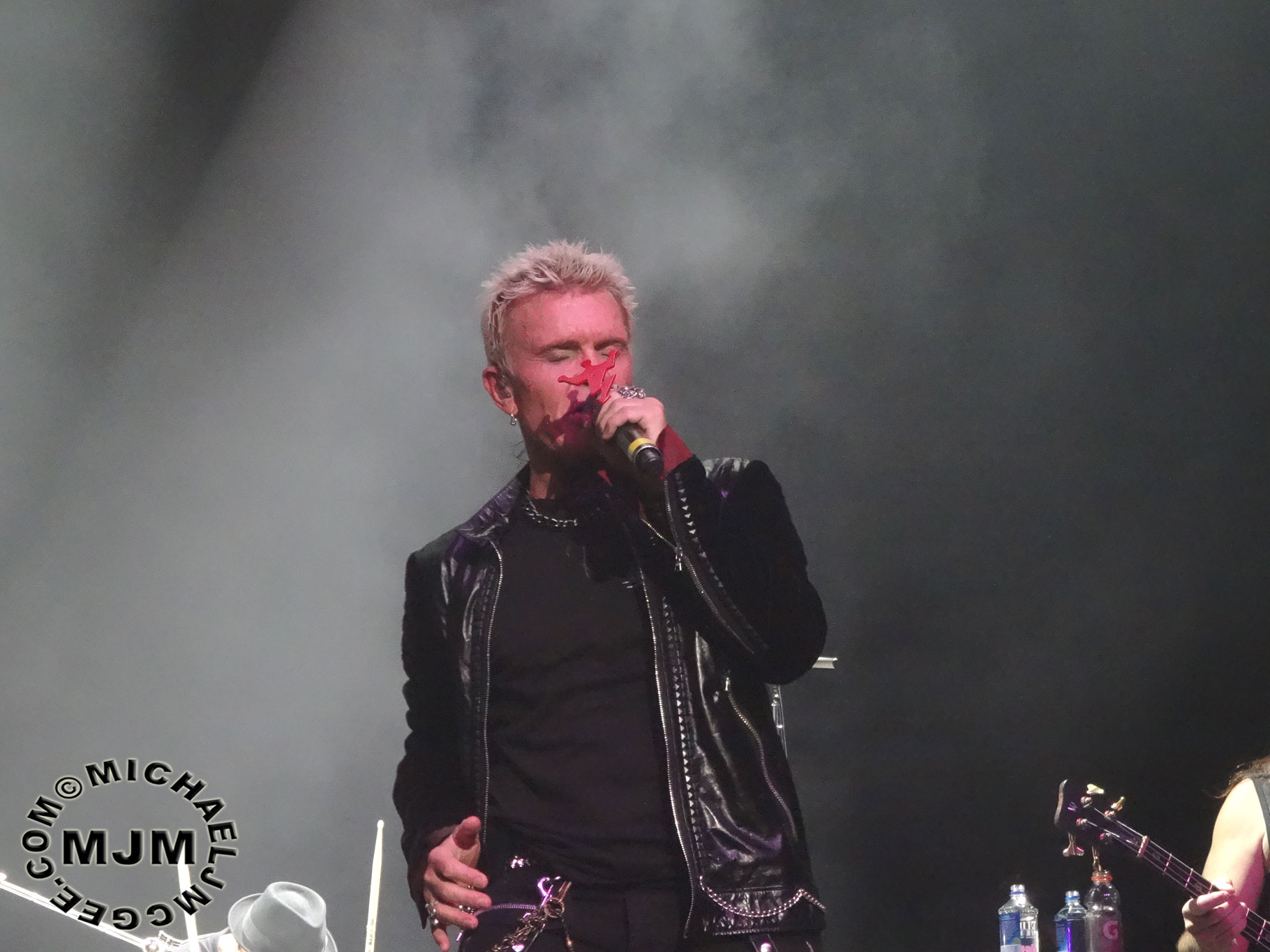 Billy Idol / michaeljmcgee.com