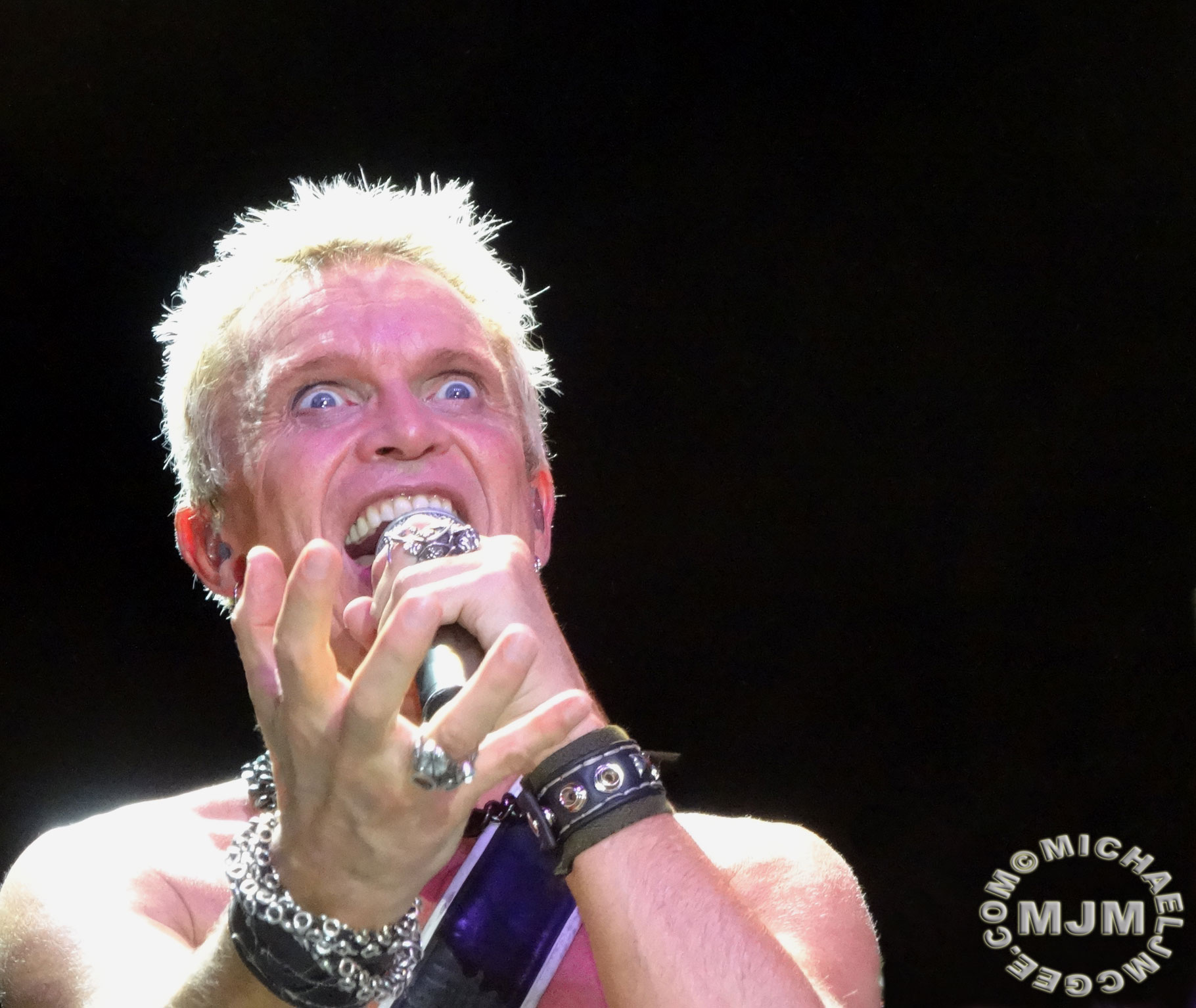 Billy Idol / michaeljmcgee.com