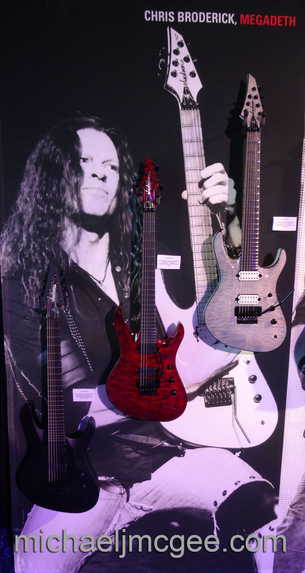 Chris Broderick / michaeljmcgee.com