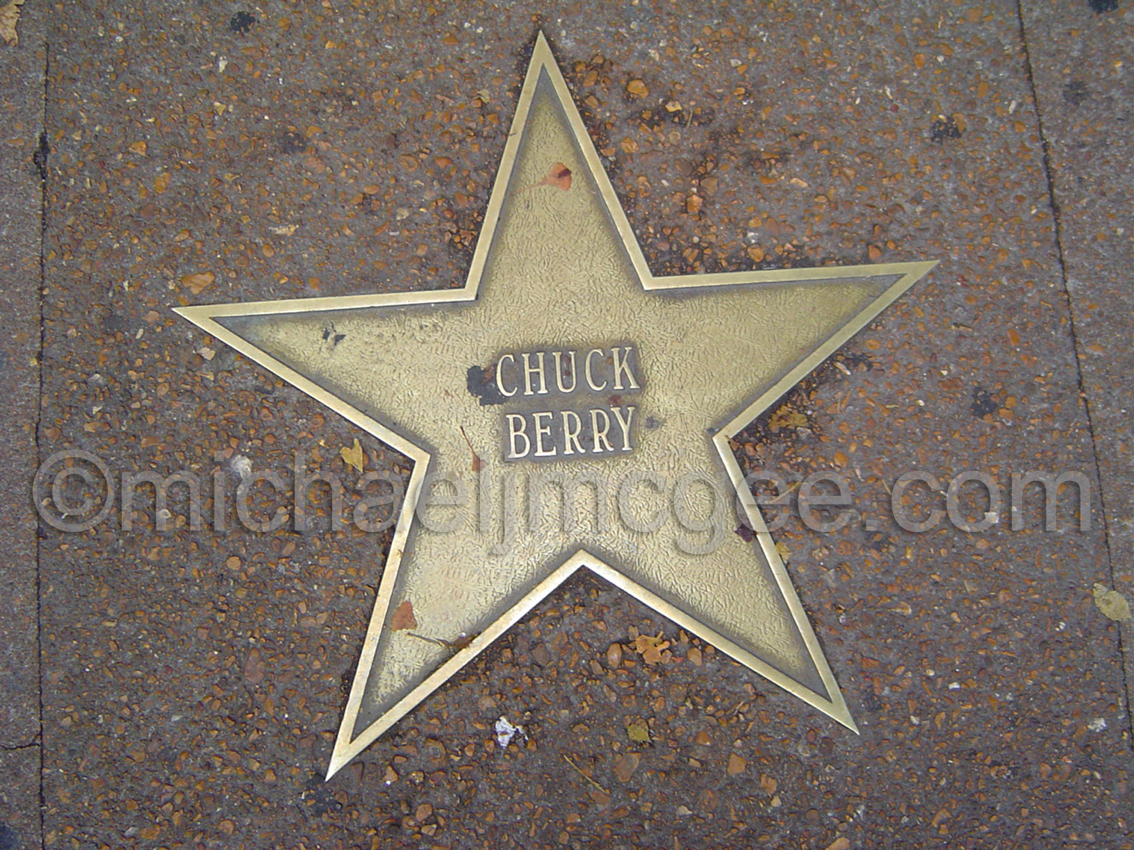 Chuck Berry / michaeljmcgee.com