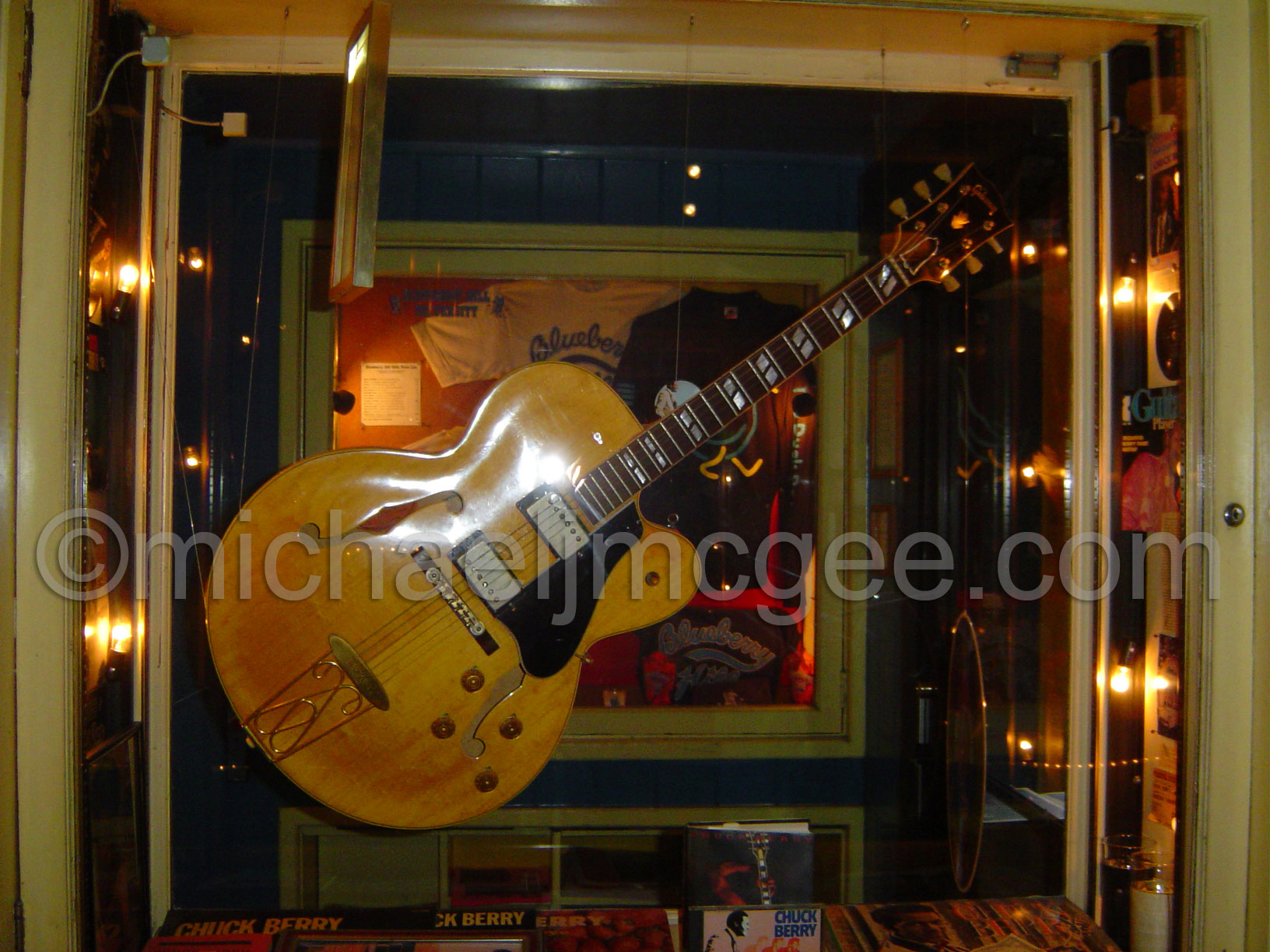Chuck Berry / michaeljmcgee.com