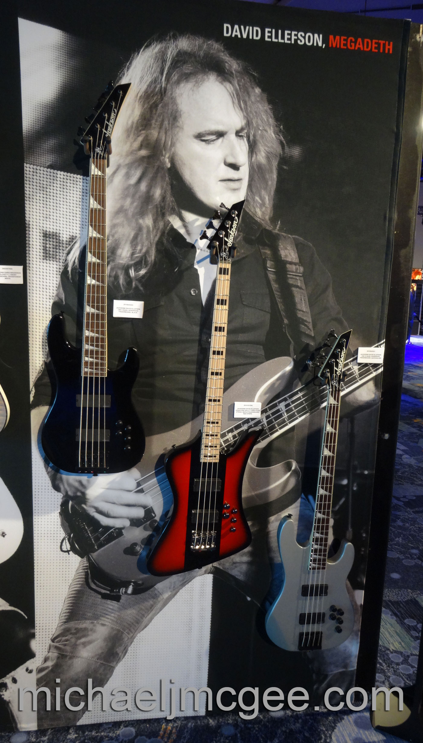 Dave Ellefson / michaeljmcgee.com