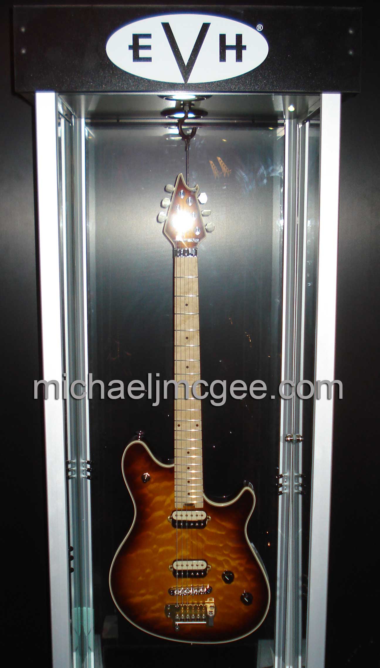 Edward Van Halen / michaeljmcgee.com