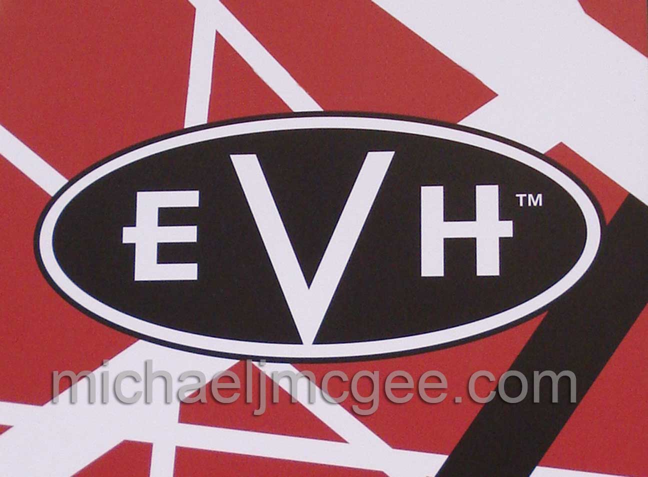 Edward Van Halen / michaeljmcgee.com