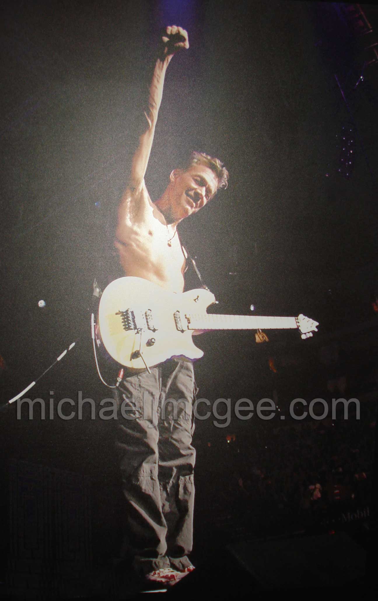 Edward Van Halen / michaeljmcgee.com