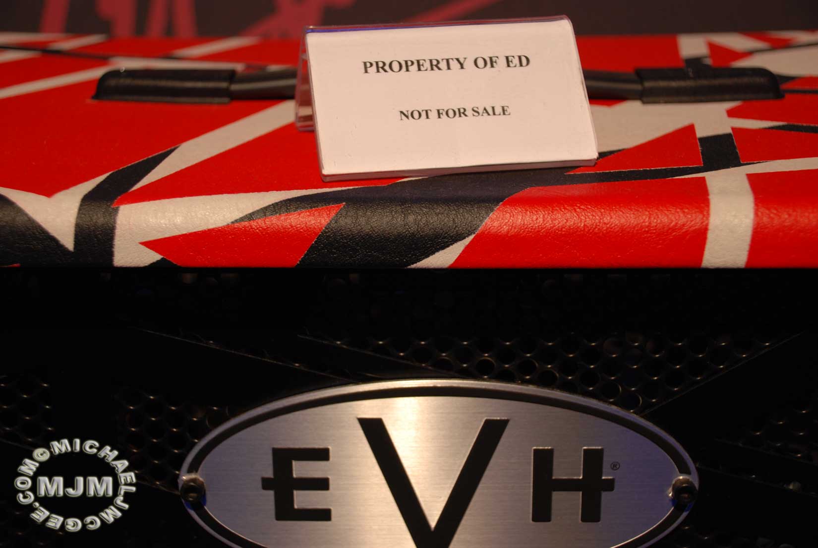Edward Van Halen / michaeljmcgee.com