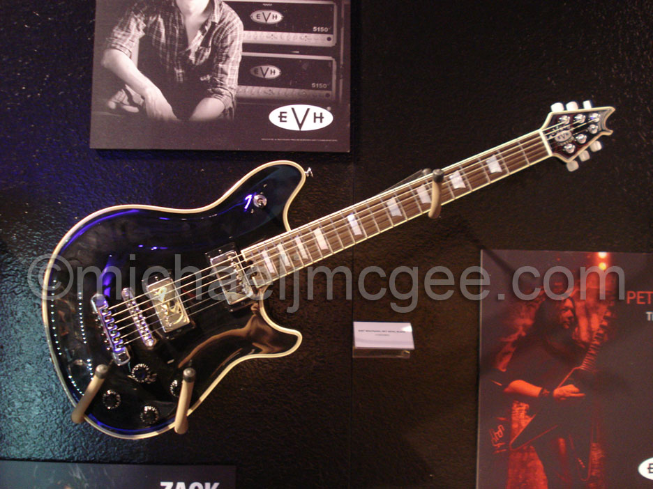 Edward Van Halen / michaeljmcgee.com