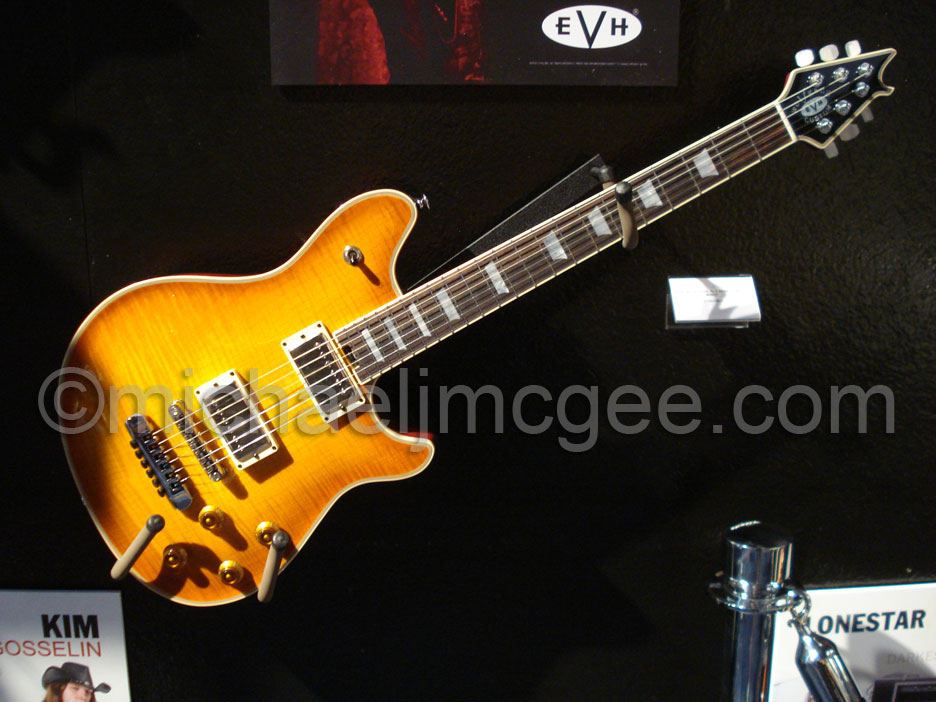 Edward Van Halen / michaeljmcgee.com