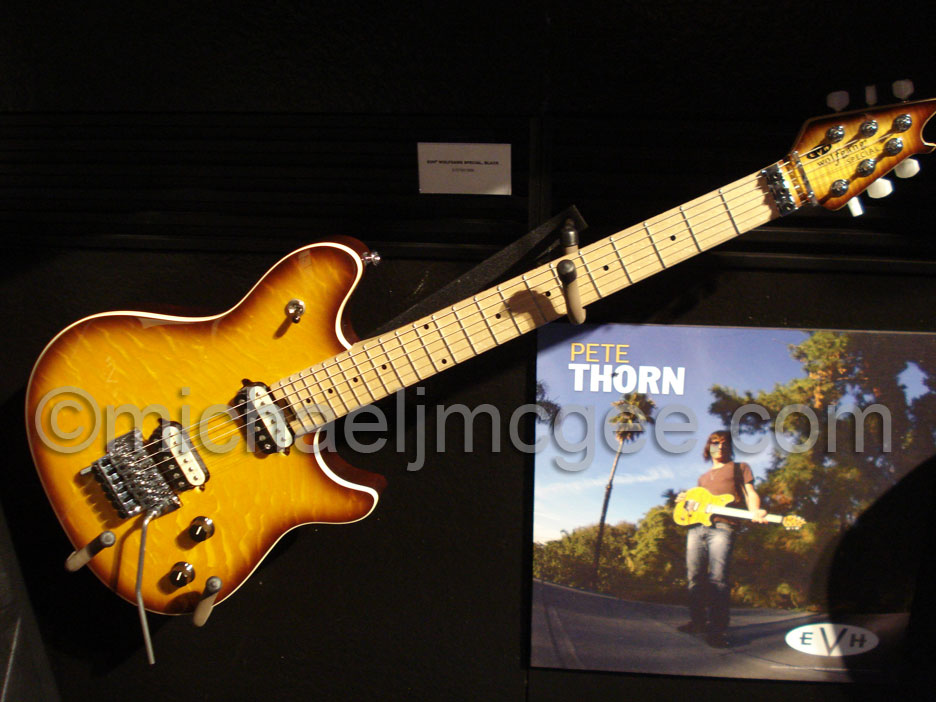 Edward Van Halen / michaeljmcgee.com