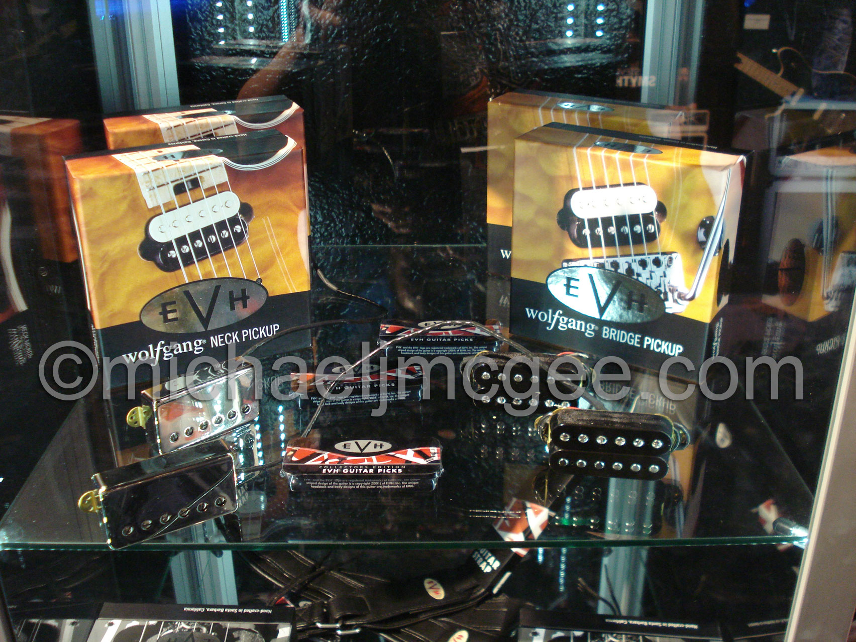 Edward Van Halen / michaeljmcgee.com