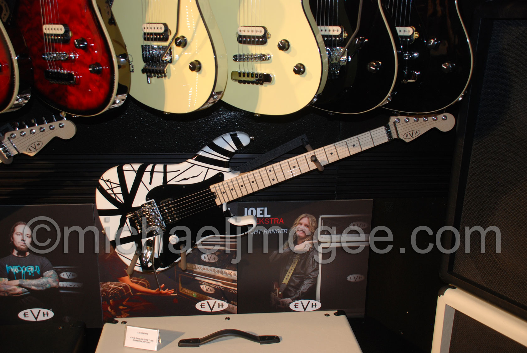 Edward Van Halen / michaeljmcgee.com