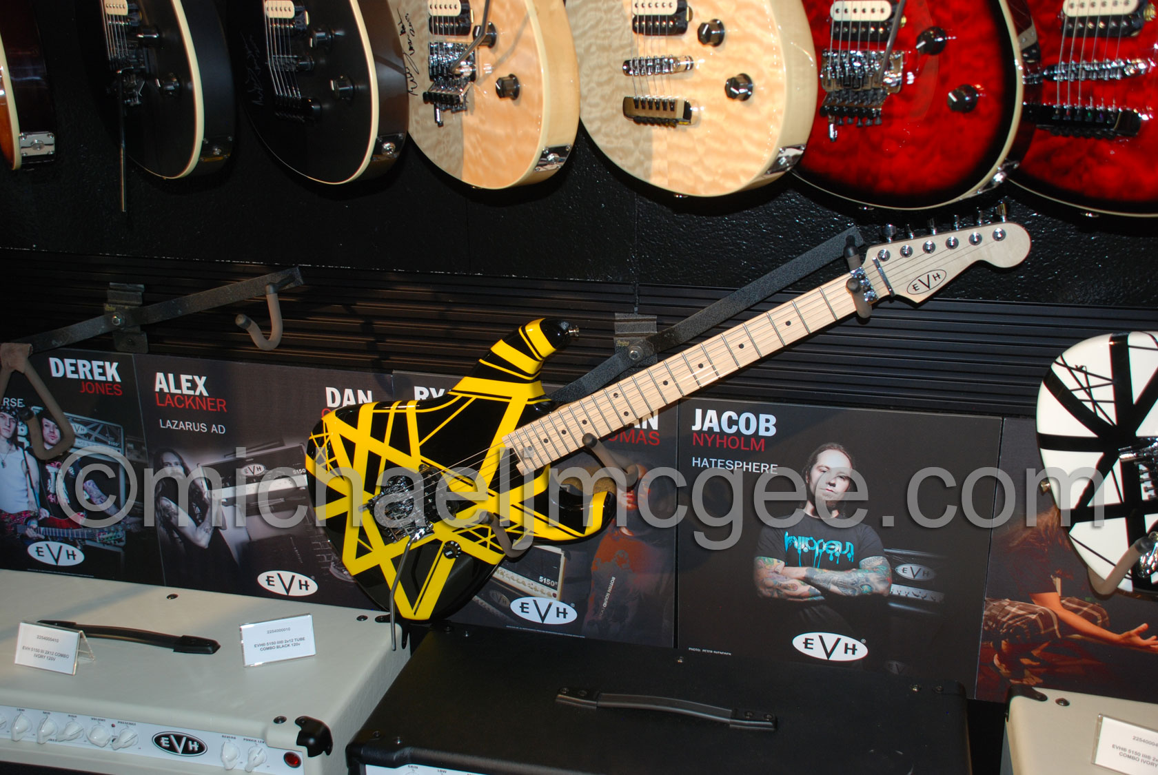 Edward Van Halen / michaeljmcgee.com
