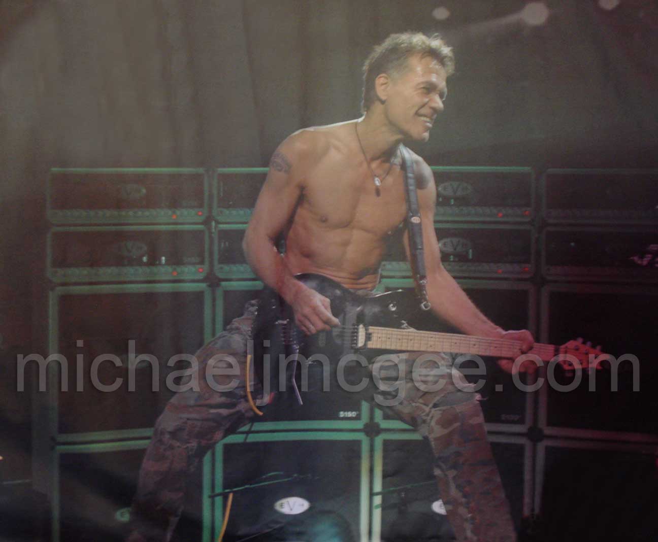 Edward Van Halen / michaeljmcgee.com