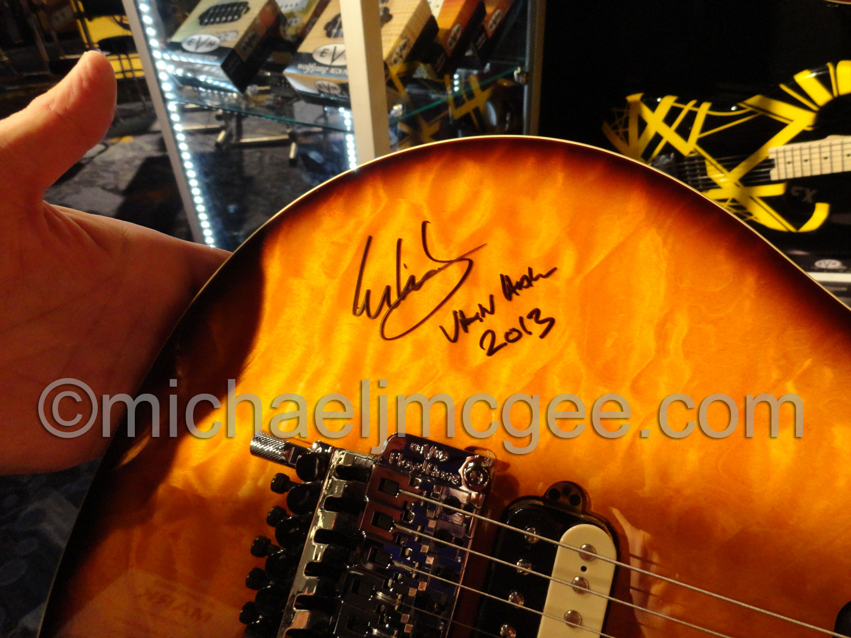 Edward Van Halen / michaeljmcgee.com