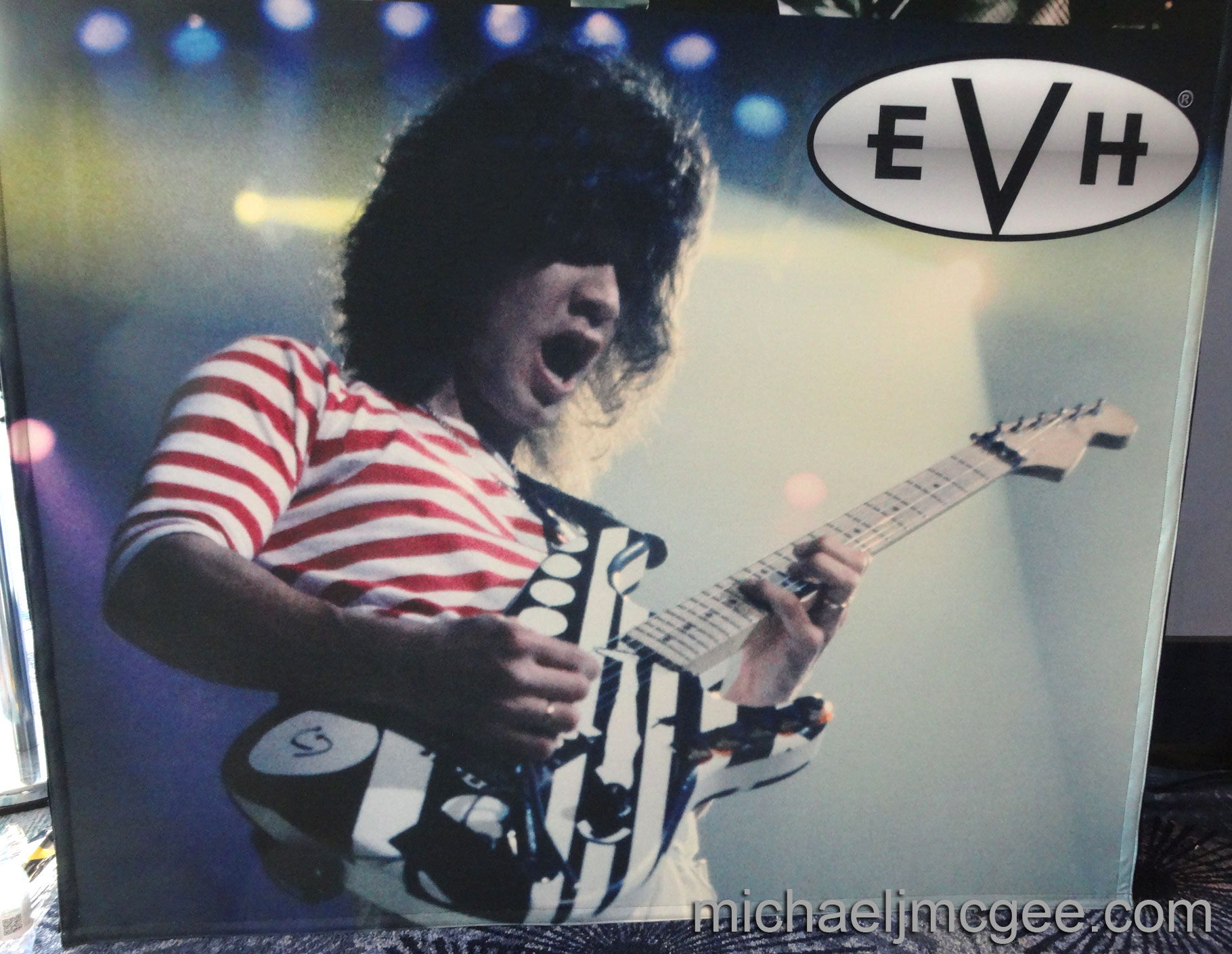 Eddie Van Halen / michaeljmcgee.com