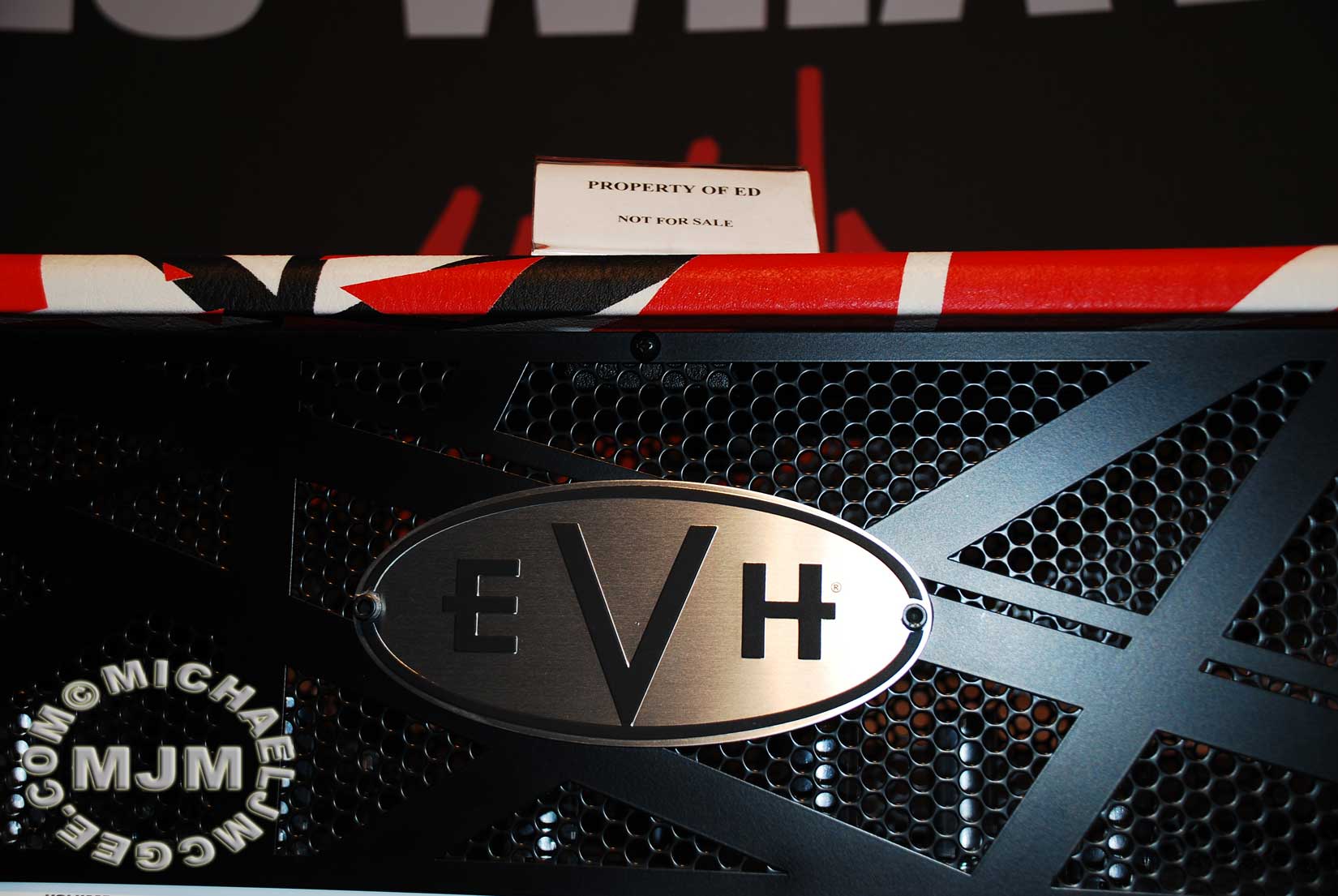 Edward Van Halen / michaeljmcgee.com