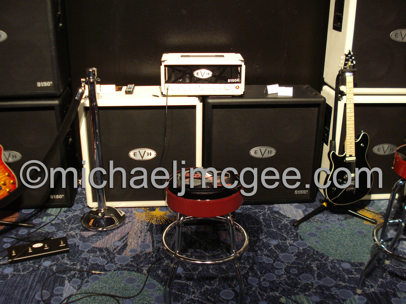 Edward Van Halen / michaeljmcgee.com
