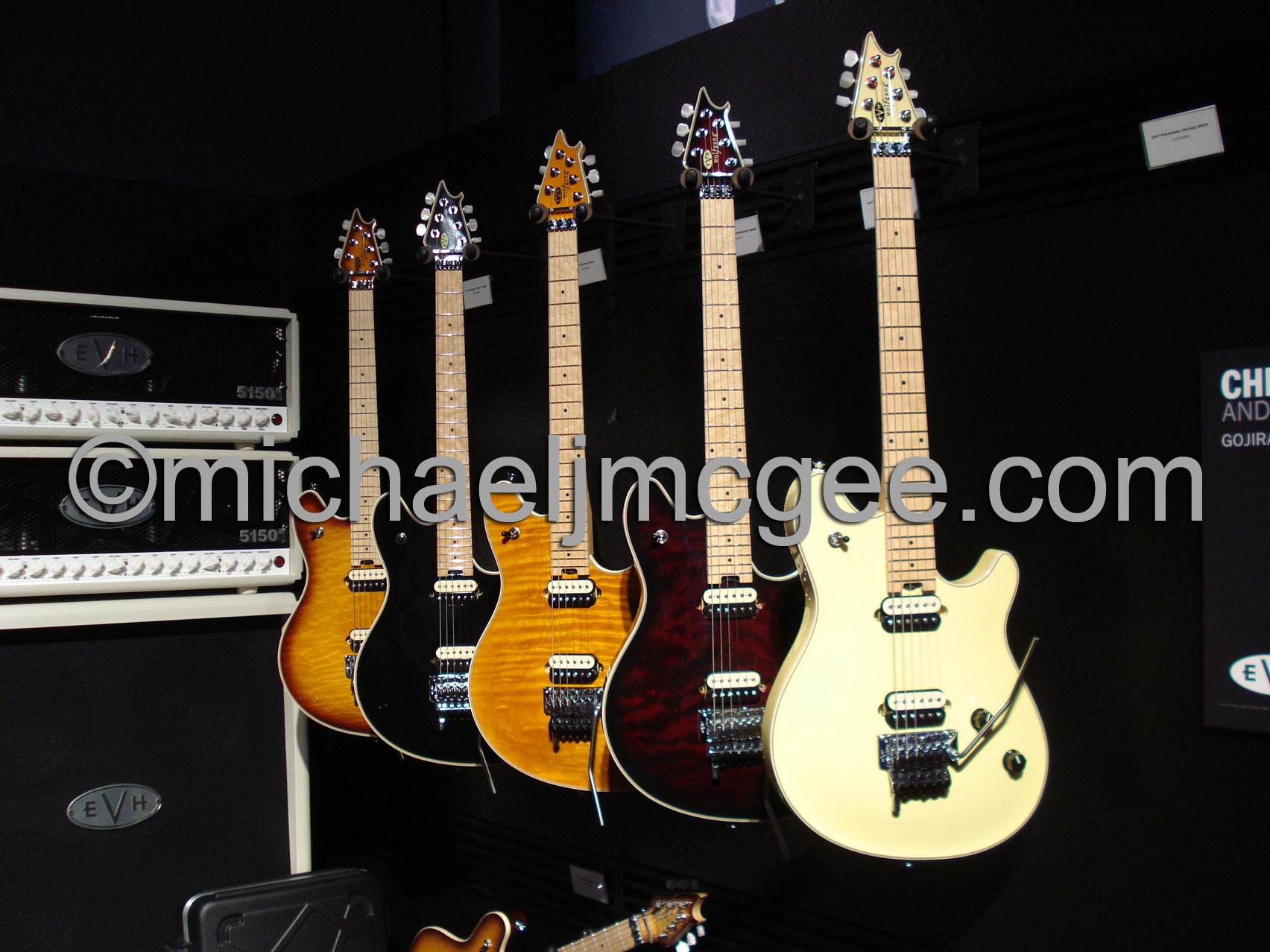 Edward Van Halen / michaeljmcgee.com