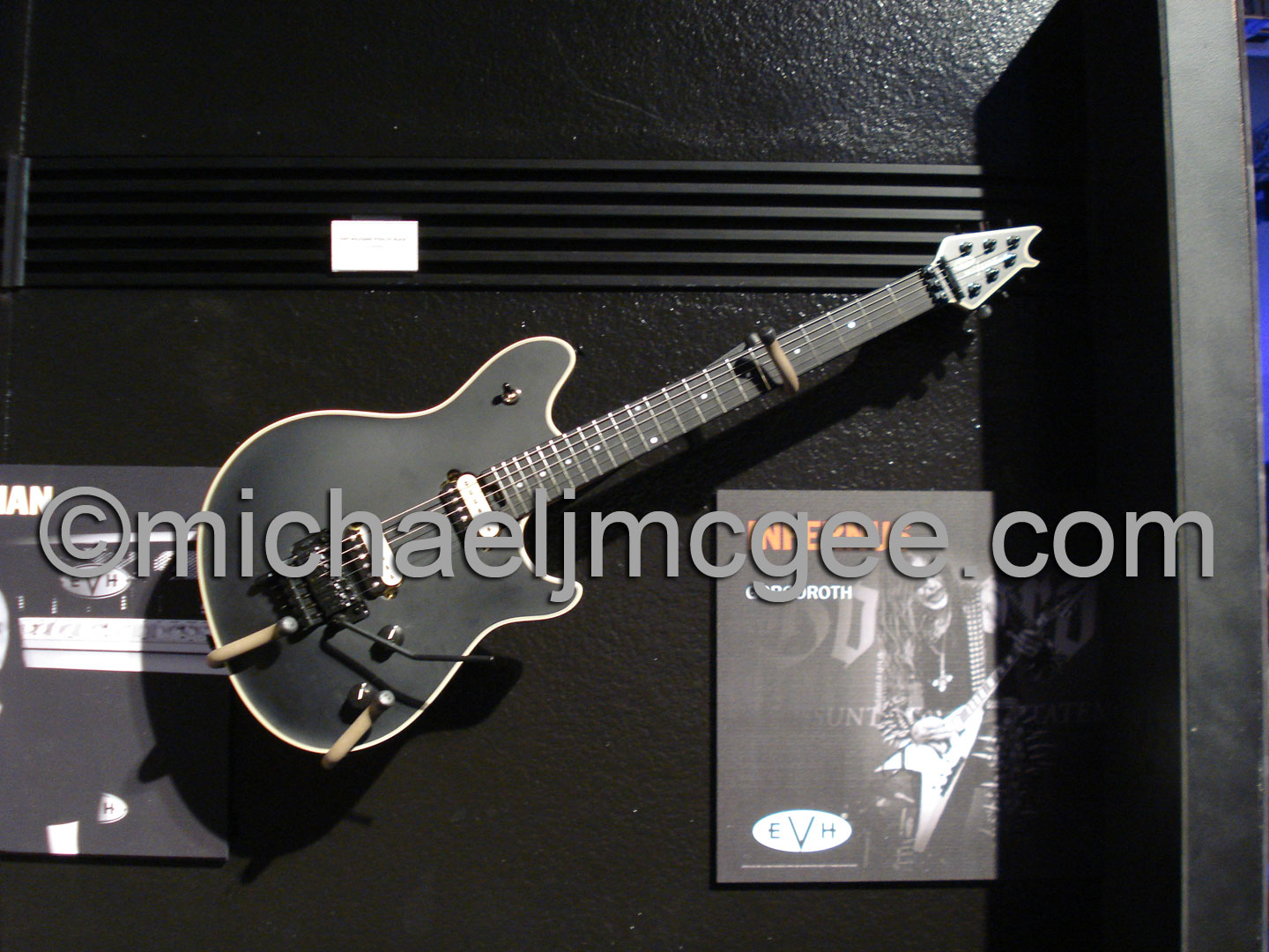 Edward Van Halen / michaeljmcgee.com