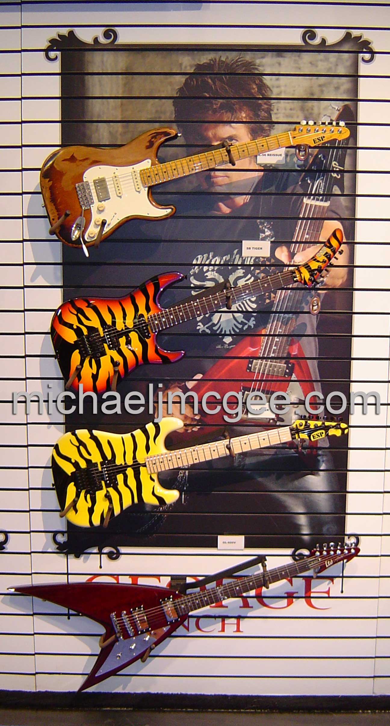 George Lynch / michaeljmcgee.com