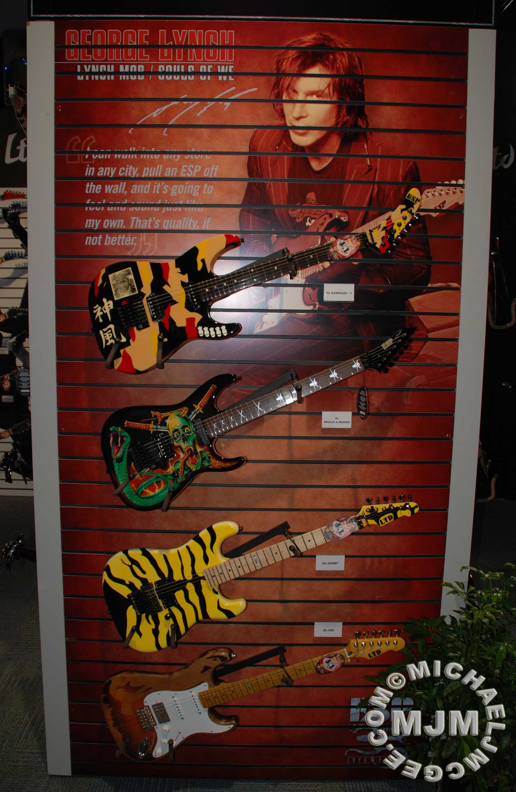 George Lynch / michaeljmcgee.com