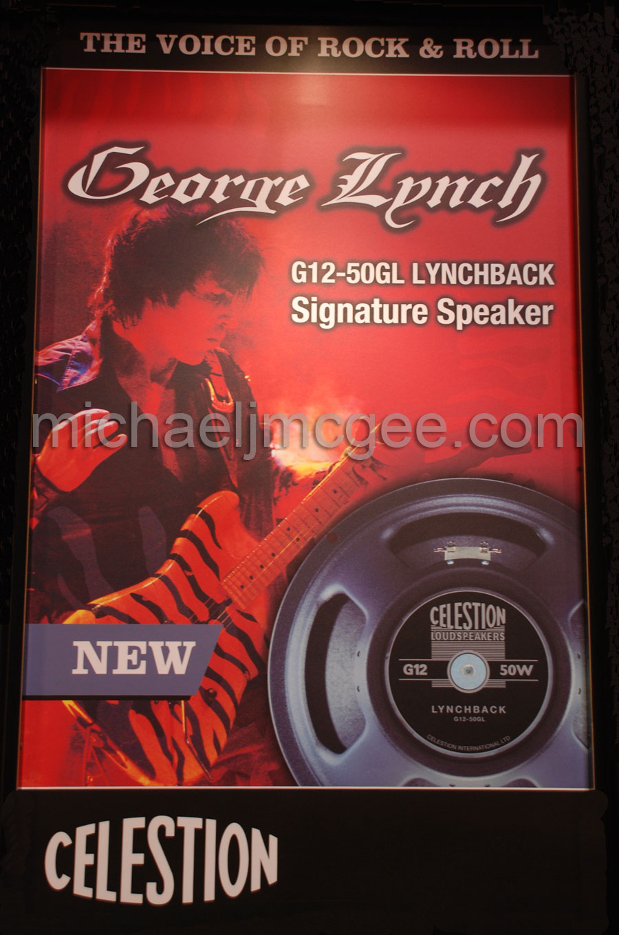 George Lynch / michaeljmcgee.com