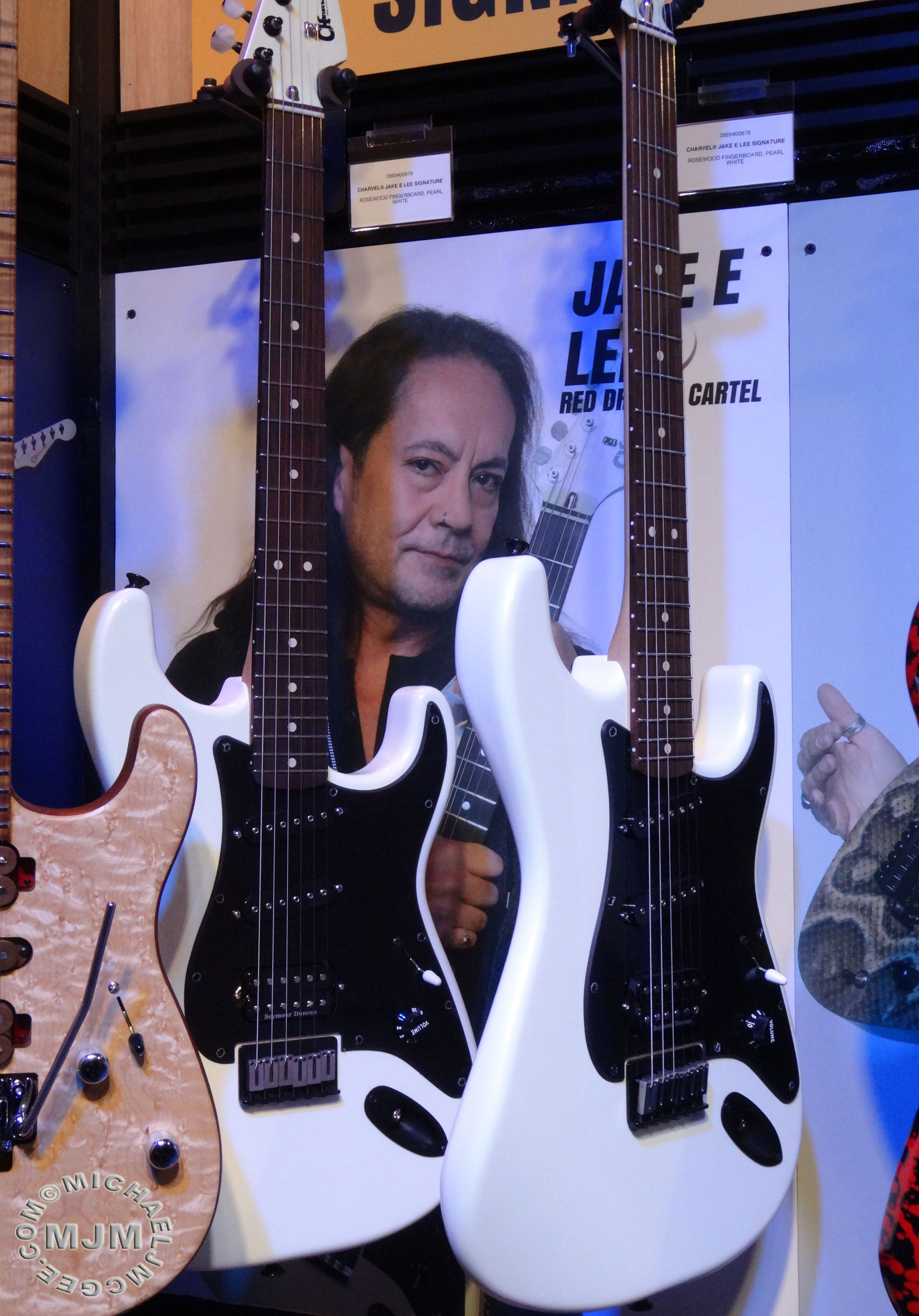Jake E Lee / michaeljmcgee.com