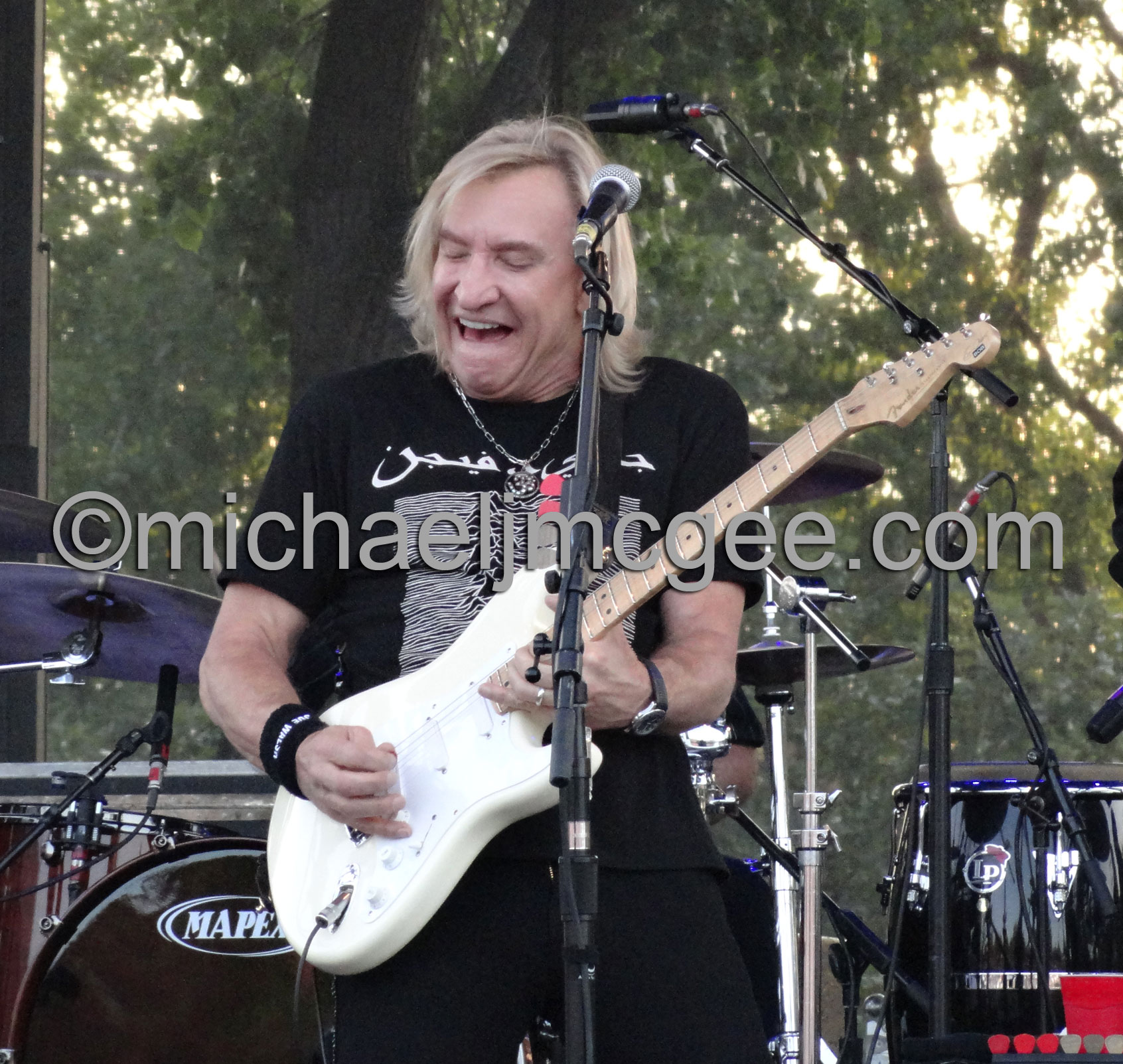 Joe Walsh / michaeljmcgee.com