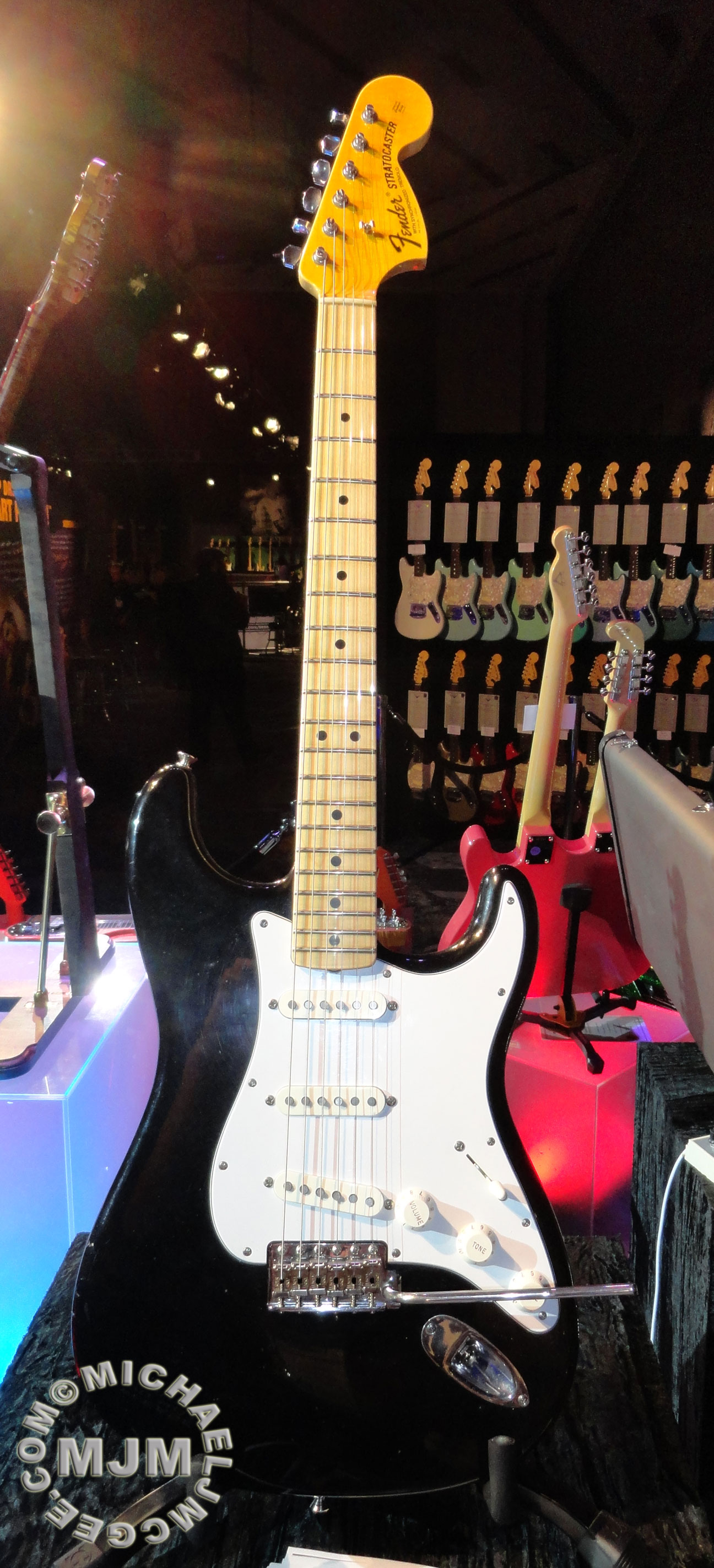 Ritchie Blackmore / michaeljmcgee.com