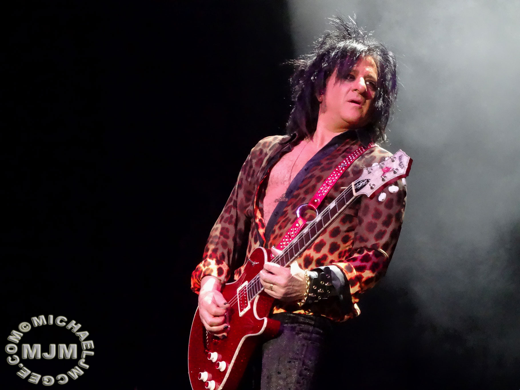 Steve Stevens / michaeljmcgee.com