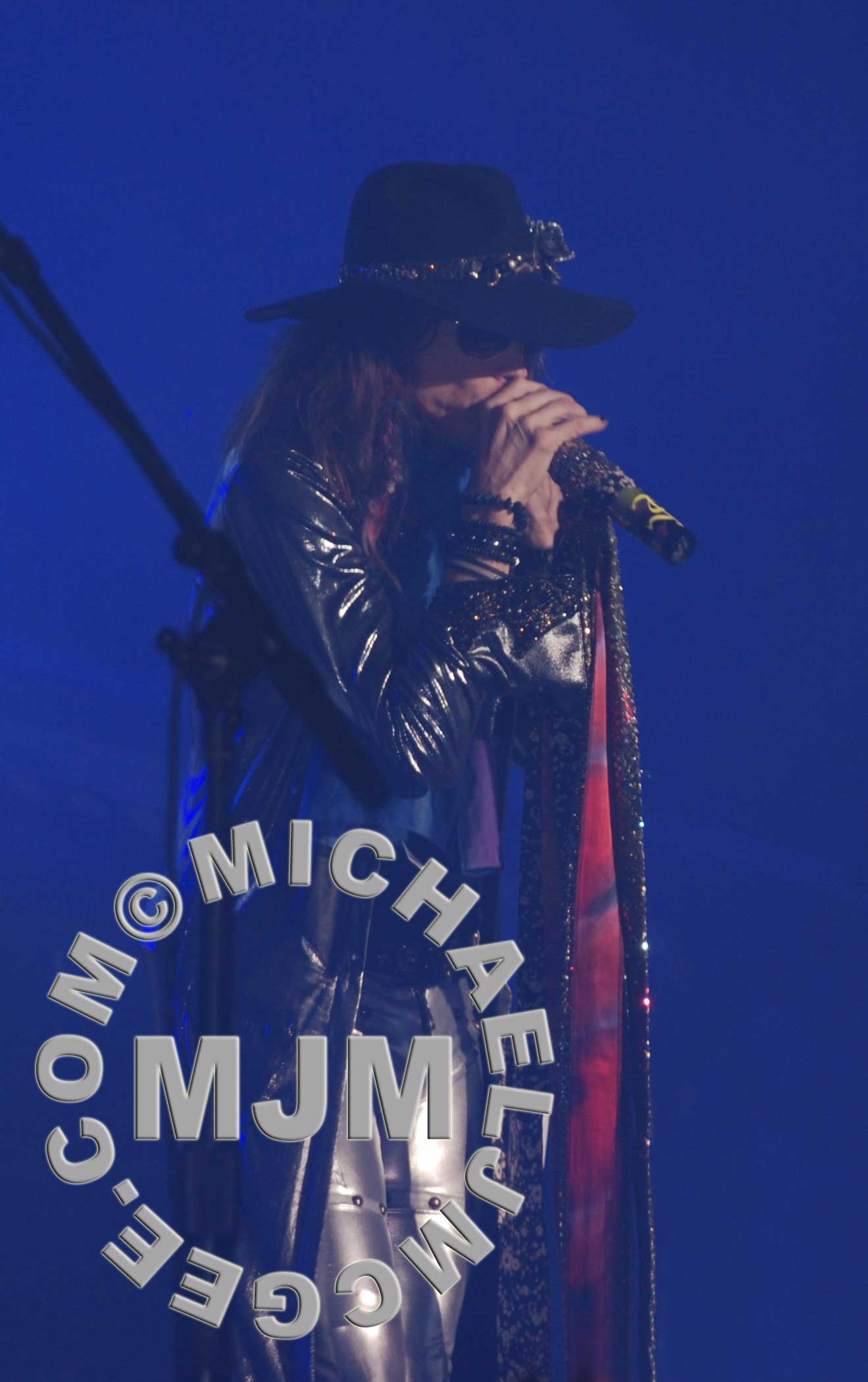 Steven Tyler / michaeljmcgee.com